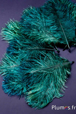 Strauss Bellies - 8-13 cm - tannengrün